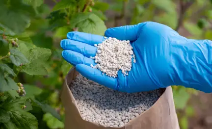 Agrochemicals