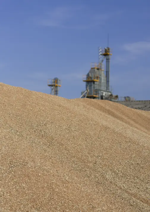 Bentonite Clay
